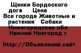 Щенки Бордоского дога.  › Цена ­ 30 000 - Все города Животные и растения » Собаки   . Нижегородская обл.,Нижний Новгород г.